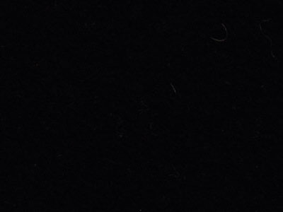 LQ183013